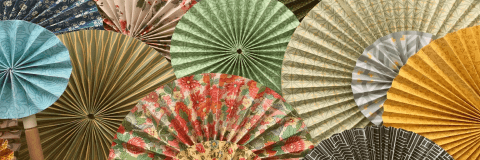 Dodo Design/color Dodo Designs